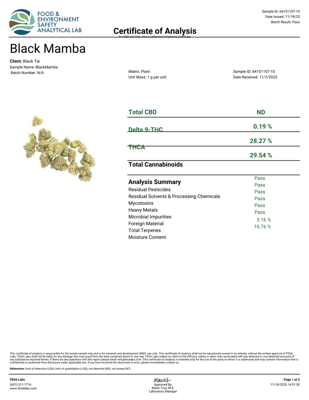 - BLACK MAMBA