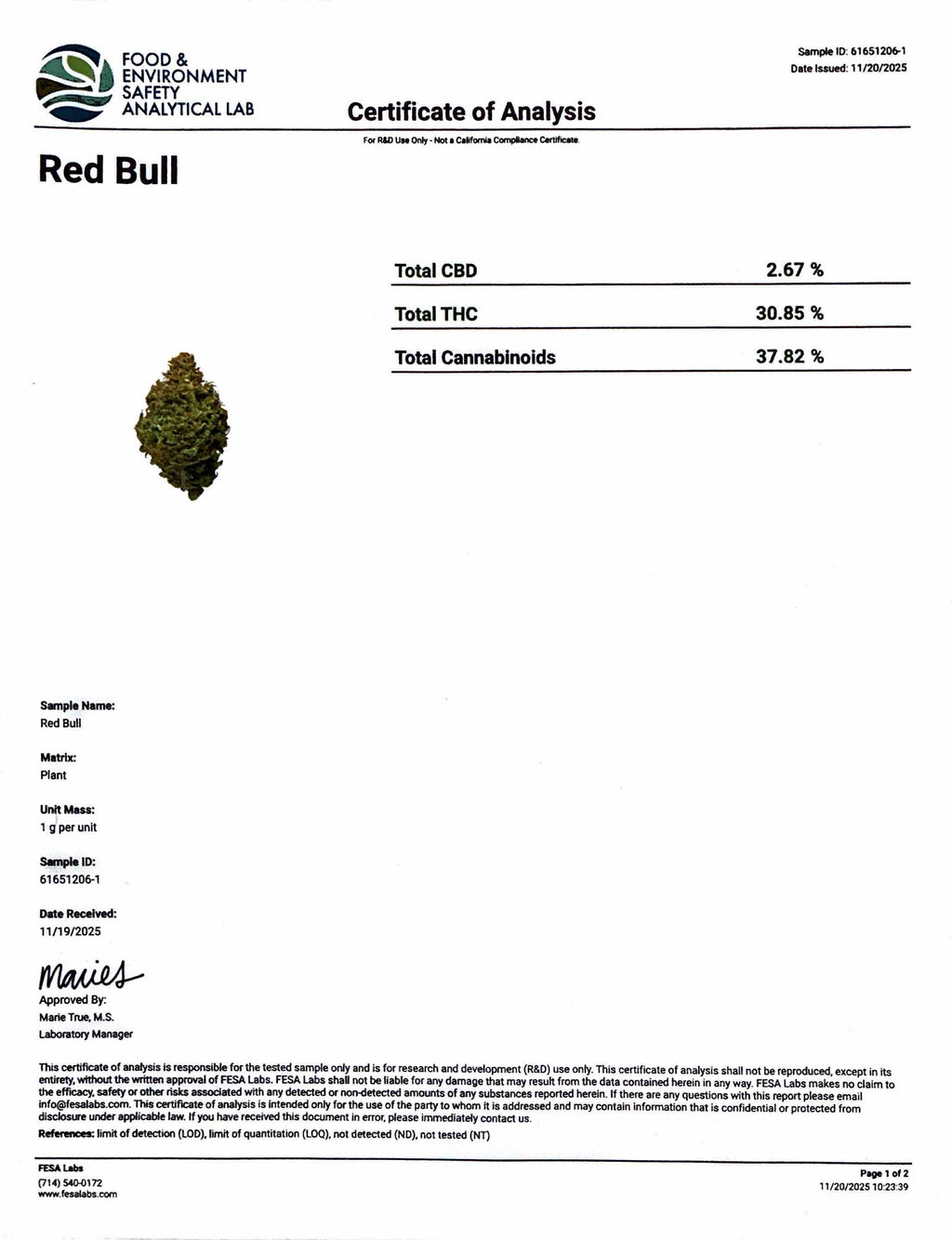 - RED BULL