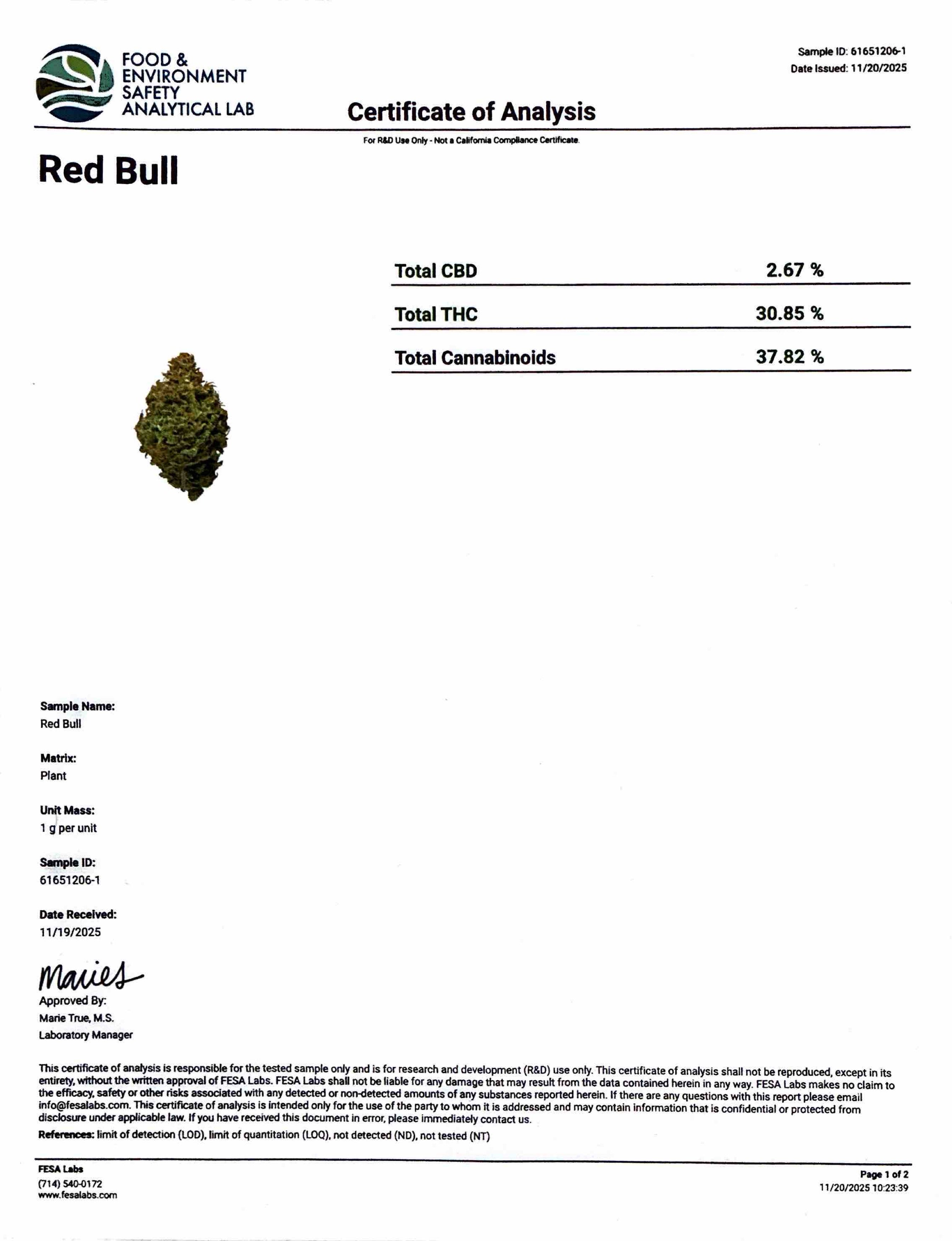 - RED BULL