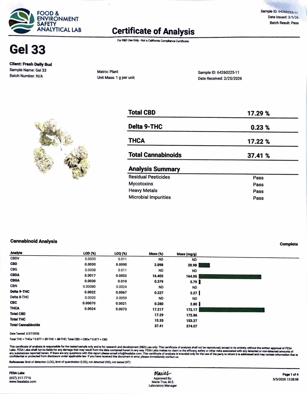 - GELATO 33