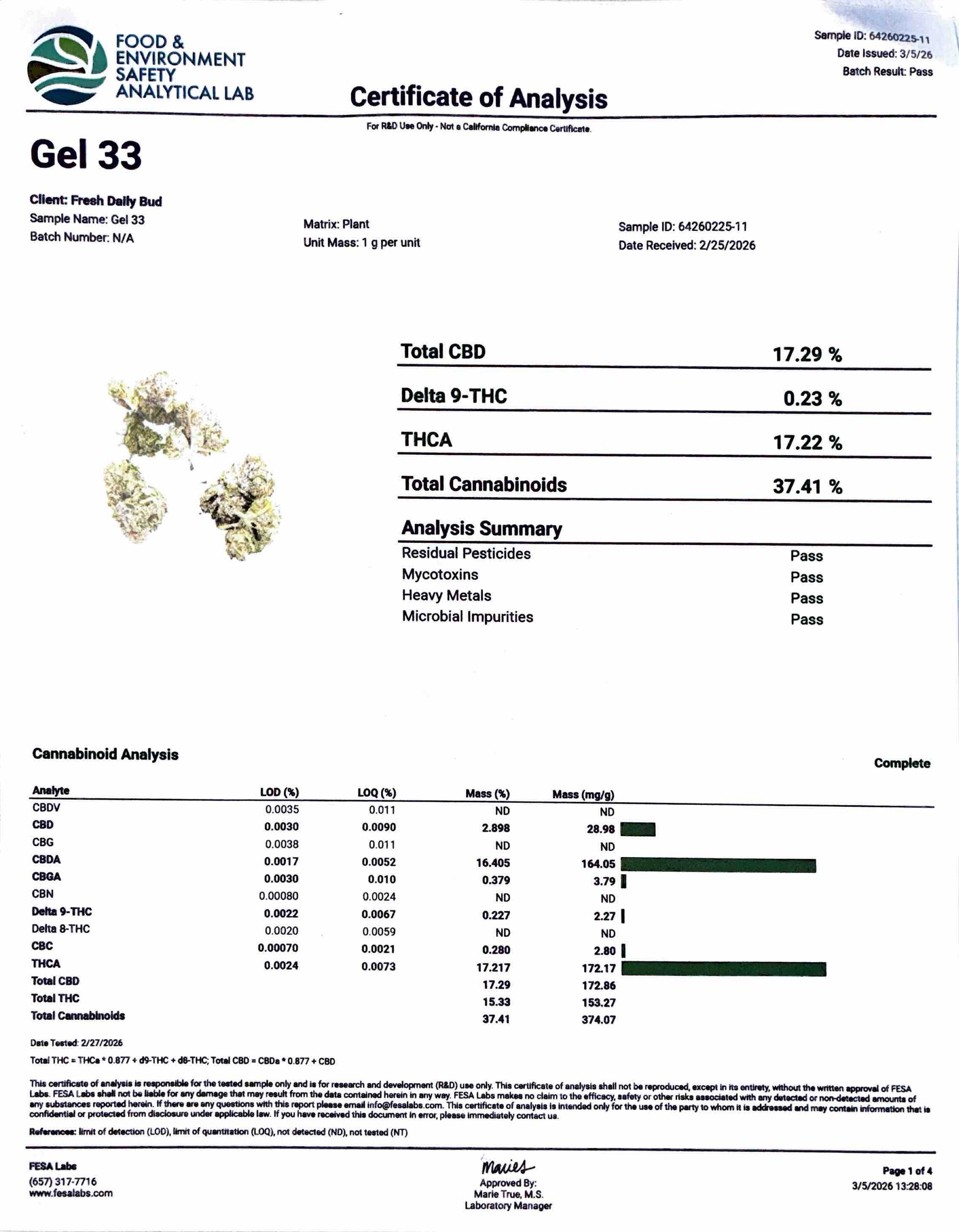 - GELATO 33
