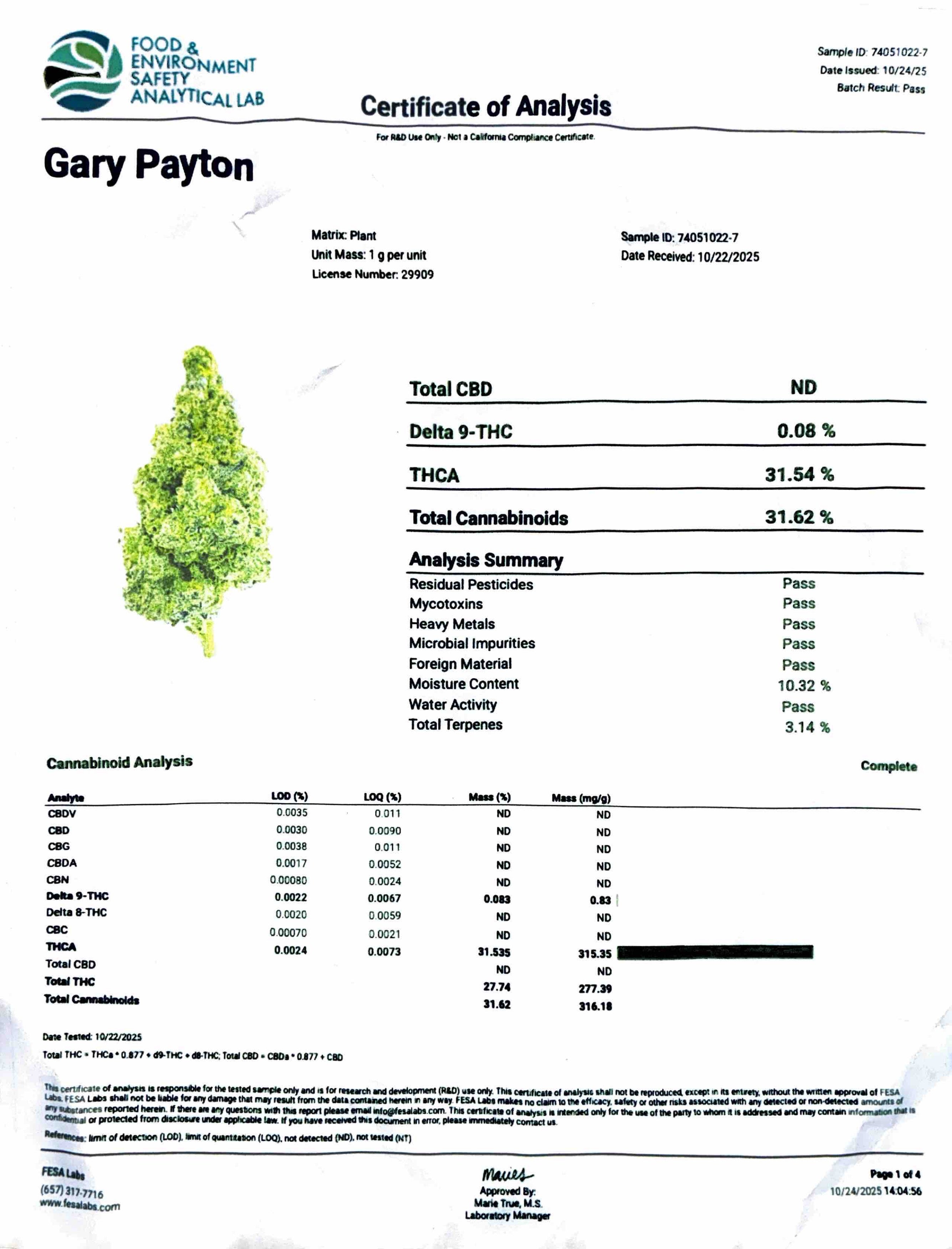 - GARY PAYTON